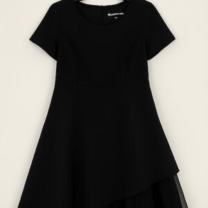Ark & Ward Elegant Black Fit-and-Flare Dress with Sheer Hem